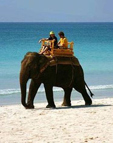 http://upload.wikimedia.org/wikipedia/commons/thumb/b/b6/India_Tourism_Elephant.jpg/220px-India_Tourism_Elephant.jpg
